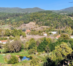 Preuzeto sa izvora: KRUG