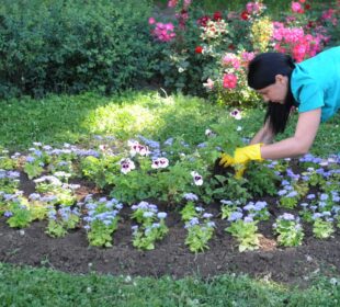 Cistoca Kraljevo 2024