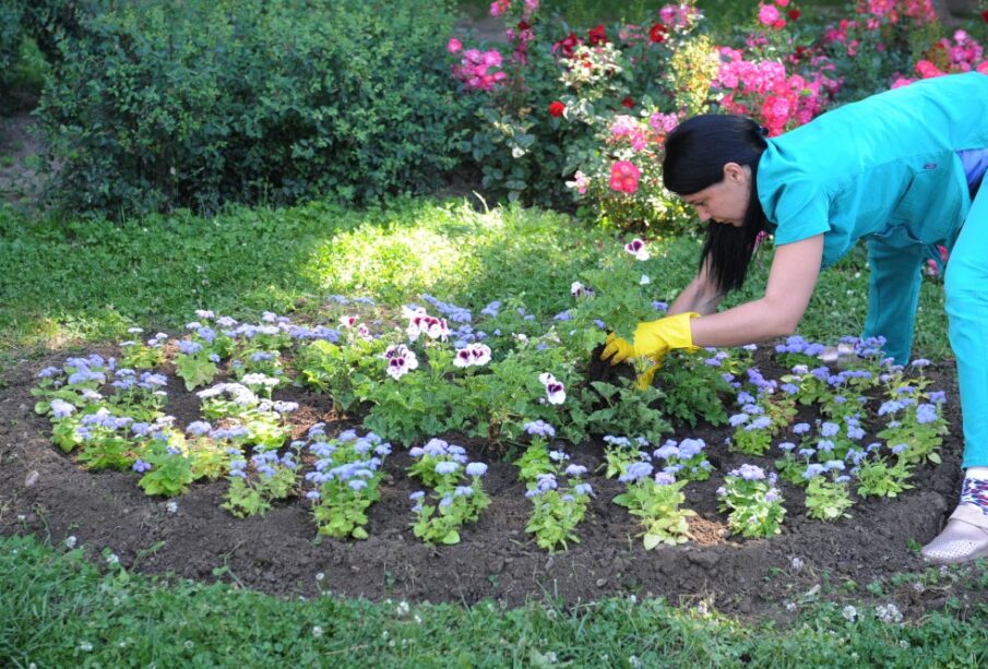 Cistoca Kraljevo 2024